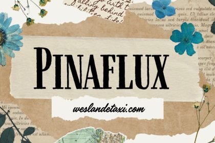 Pinaflux