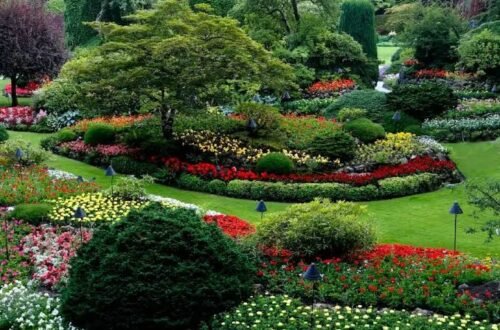 Green Landscaping