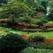 Green Landscaping
