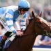 horse racing results